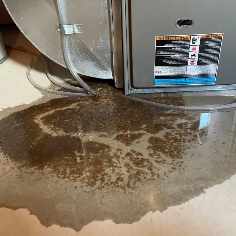 Pipe Burst and Leak Restoration in Washington Parish, LA